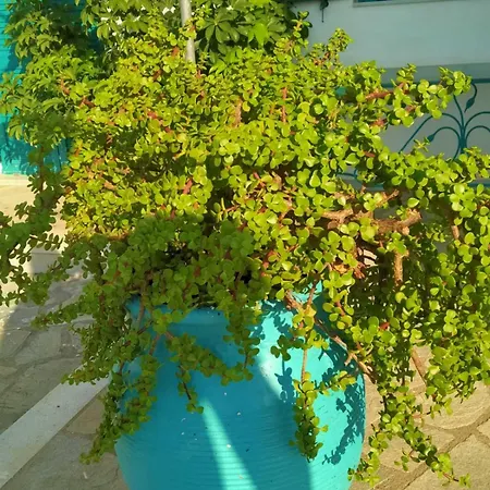 Aparthotel Bella Vista