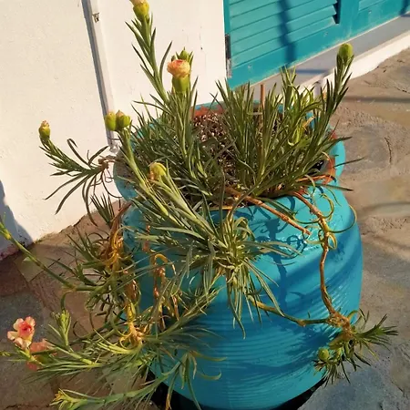 Bella Vista Nydri (Lefkada)