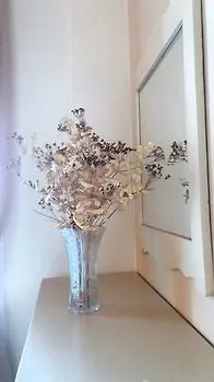 Bella Vista Apartahotel 4*